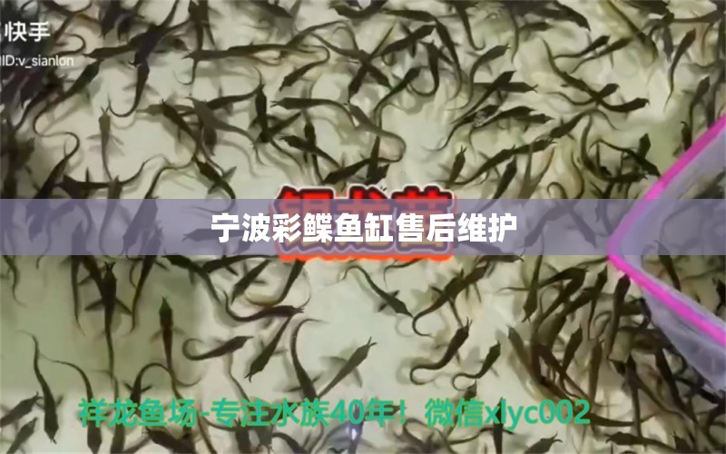 寧波彩鰈魚缸售后維護 彩鰈魚缸（彩蝶魚缸）