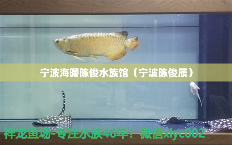 寧波海曙陳俊水族館（寧波陳俊辰） 全國水族館企業(yè)名錄