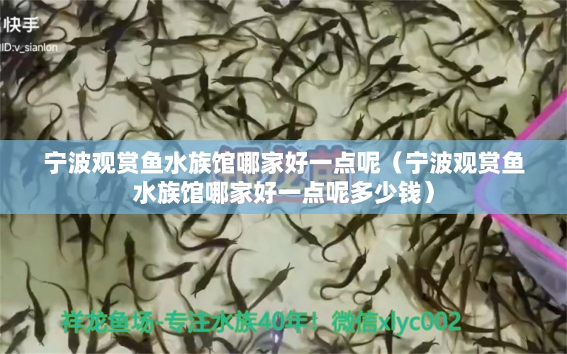 寧波觀賞魚水族館哪家好一點(diǎn)呢（寧波觀賞魚水族館哪家好一點(diǎn)呢多少錢）