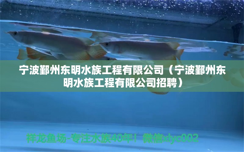 寧波鄞州東明水族工程有限公司（寧波鄞州東明水族工程有限公司招聘）