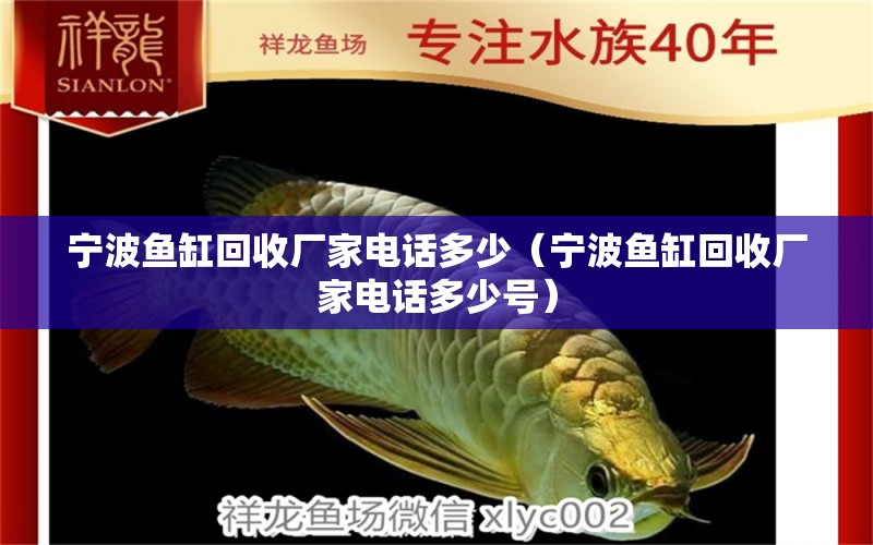 寧波魚缸回收廠家電話多少（寧波魚缸回收廠家電話多少號）