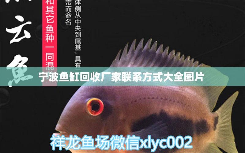 寧波魚缸回收廠家聯(lián)系方式大全圖片 