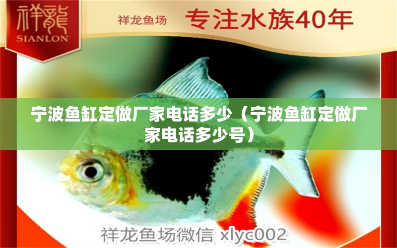 寧波魚(yú)缸定做廠(chǎng)家電話(huà)多少（寧波魚(yú)缸定做廠(chǎng)家電話(huà)多少號(hào)）