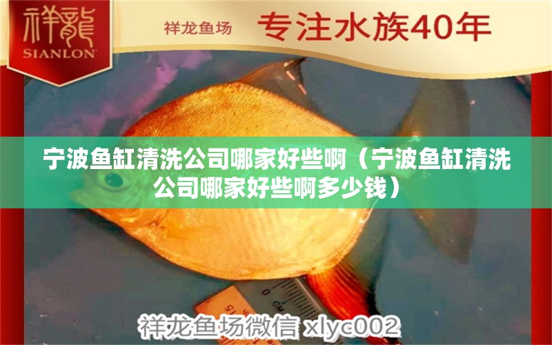 寧波魚缸清洗公司哪家好些?。▽幉~缸清洗公司哪家好些啊多少錢）