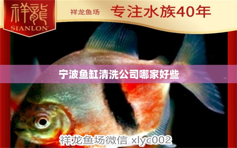 寧波魚缸清洗公司哪家好些