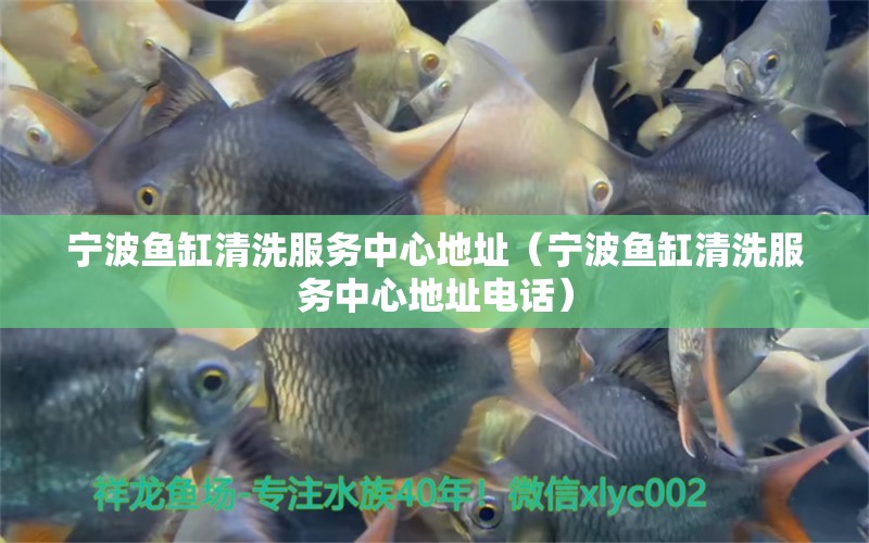 寧波魚缸清洗服務(wù)中心地址（寧波魚缸清洗服務(wù)中心地址電話）