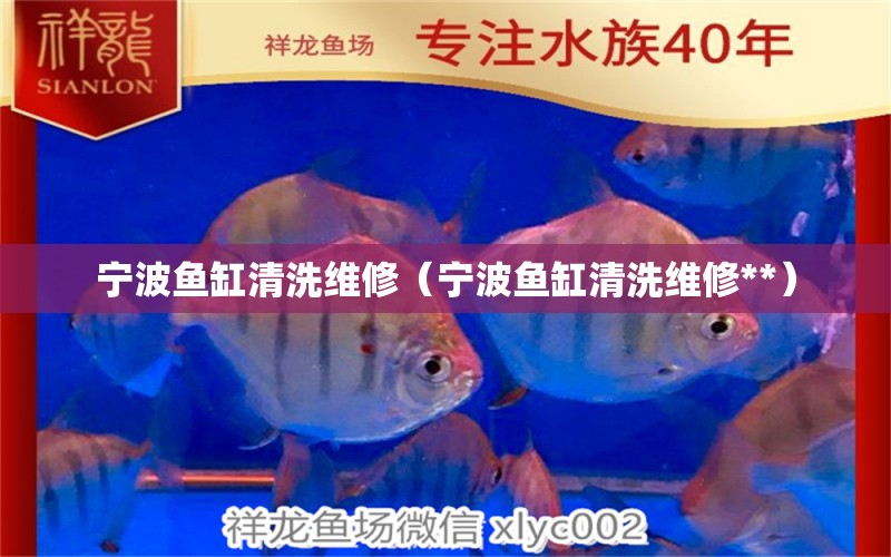 寧波魚缸清洗維修（寧波魚缸清洗維修**）