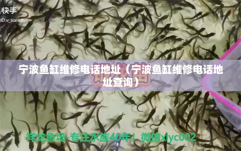 寧波魚缸維修電話地址（寧波魚缸維修電話地址查詢）