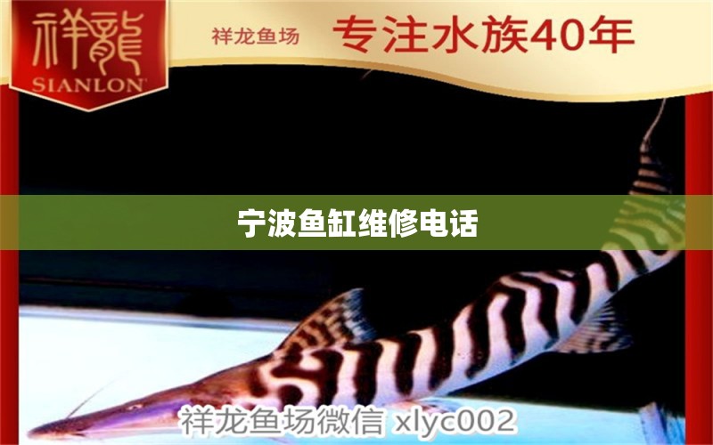 寧波魚(yú)缸維修電話 其他品牌魚(yú)缸