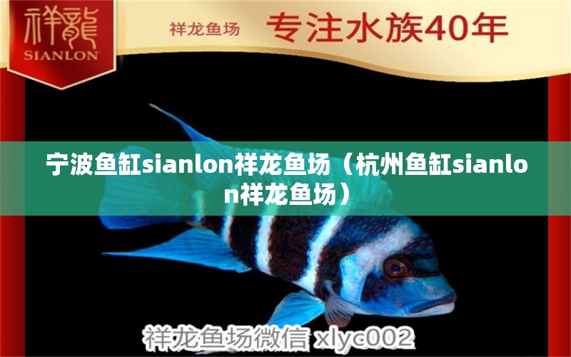 寧波魚缸sianlon祥龍魚場（杭州魚缸sianlon祥龍魚場） 祥龍魚場