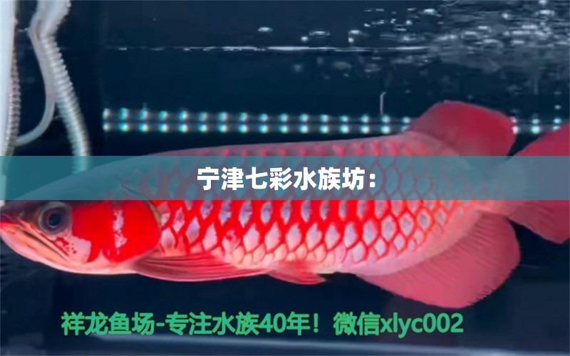 寧津七彩水族坊： 全國(guó)水族館企業(yè)名錄