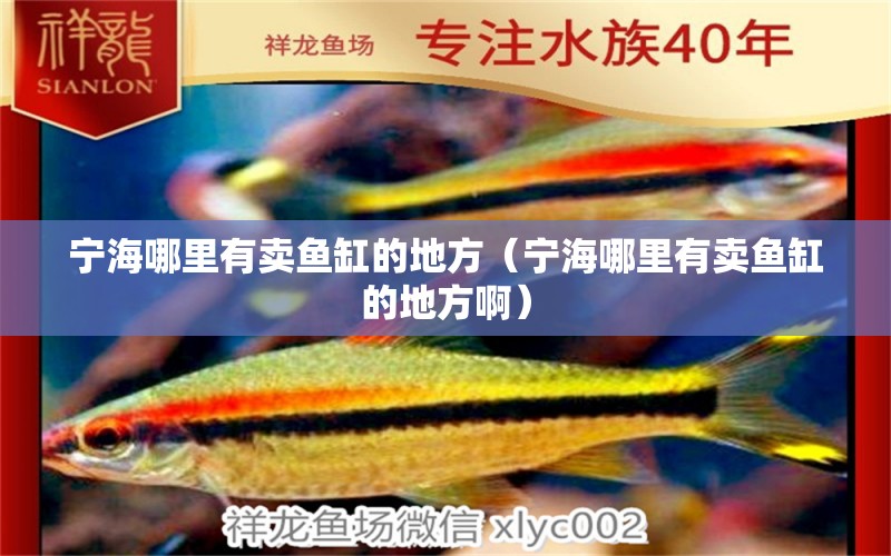 寧海哪里有賣魚缸的地方（寧海哪里有賣魚缸的地方?。? title=