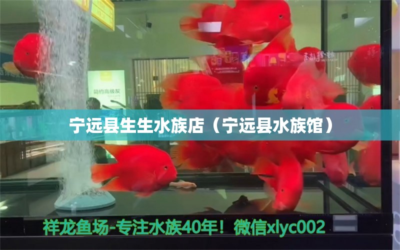 寧遠(yuǎn)縣生生水族店（寧遠(yuǎn)縣水族館） 全國(guó)水族館企業(yè)名錄