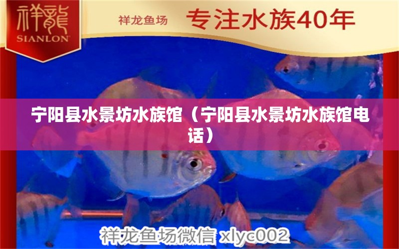 寧陽(yáng)縣水景坊水族館（寧陽(yáng)縣水景坊水族館電話）