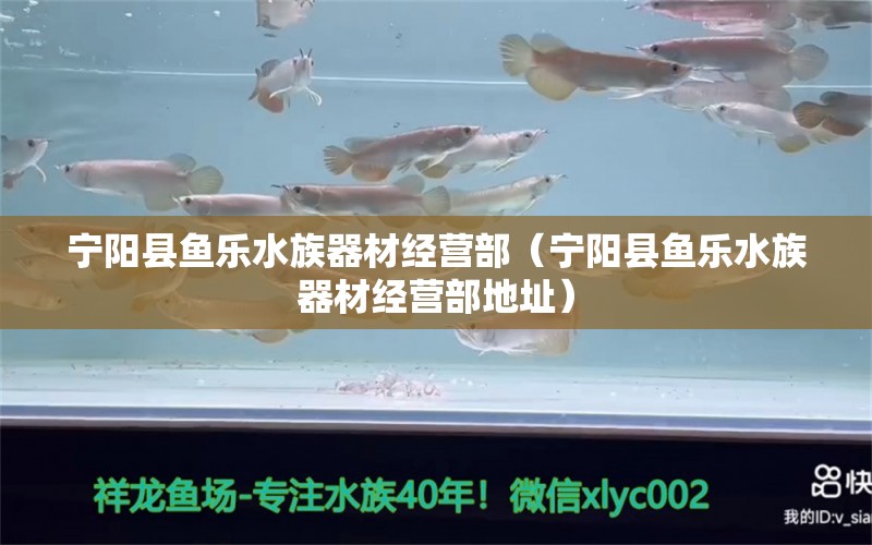 寧陽縣魚樂水族器材經(jīng)營部（寧陽縣魚樂水族器材經(jīng)營部地址） 全國水族館企業(yè)名錄