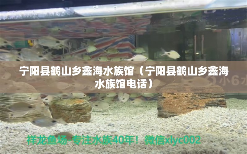 寧陽縣鶴山鄉(xiāng)鑫海水族館（寧陽縣鶴山鄉(xiāng)鑫海水族館電話）