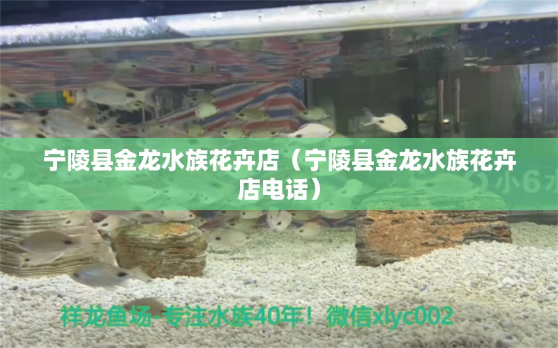 寧陵縣金龍水族花卉店（寧陵縣金龍水族花卉店電話）