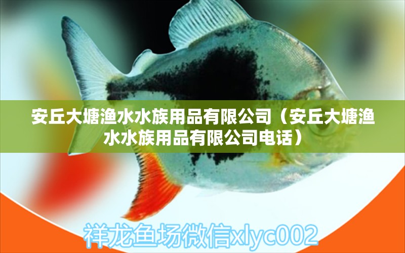 安丘大塘漁水水族用品有限公司（安丘大塘漁水水族用品有限公司電話） 水族用品