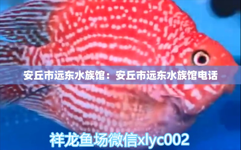 安丘市遠(yuǎn)東水族館：安丘市遠(yuǎn)東水族館電話 全國水族館企業(yè)名錄