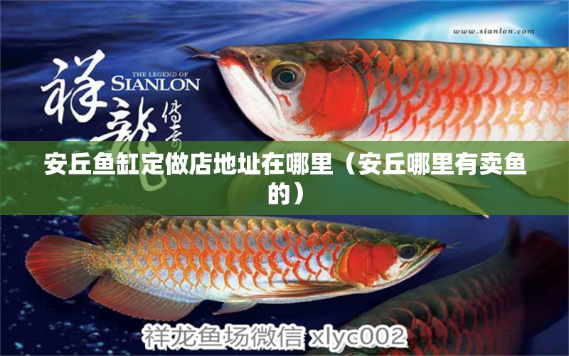 安丘魚缸定做店地址在哪里（安丘哪里有賣魚的）