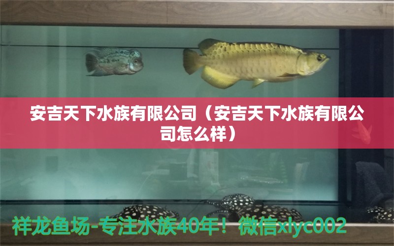 安吉天下水族有限公司（安吉天下水族有限公司怎么樣） 全國水族館企業(yè)名錄