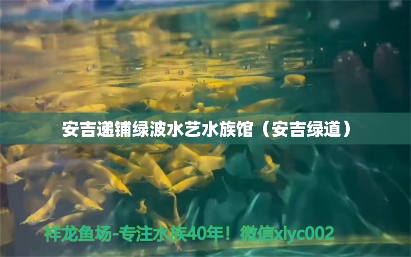 安吉遞鋪綠波水藝水族館（安吉綠道）