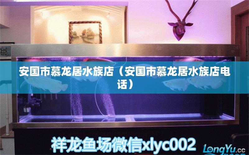 安國市慕龍居水族店（安國市慕龍居水族店電話） 全國水族館企業(yè)名錄