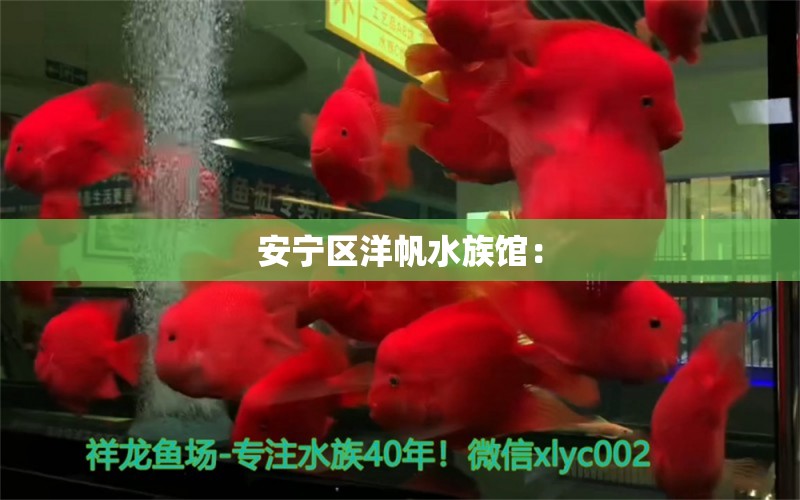 安寧區(qū)洋帆水族館： 全國(guó)水族館企業(yè)名錄