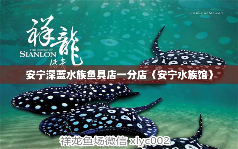 安寧深藍水族魚具店一分店（安寧水族館） 全國水族館企業(yè)名錄