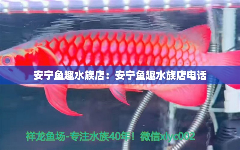 安寧魚趣水族店：安寧魚趣水族店電話 全國水族館企業(yè)名錄