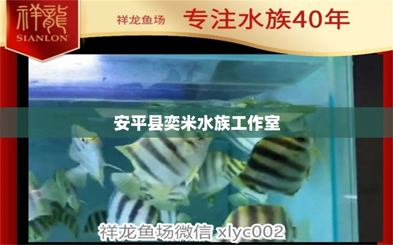 安平縣奕米水族工作室 全國水族館企業(yè)名錄