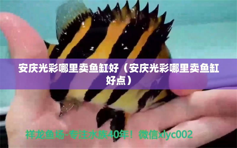 安慶光彩哪里賣魚缸好（安慶光彩哪里賣魚缸好點）