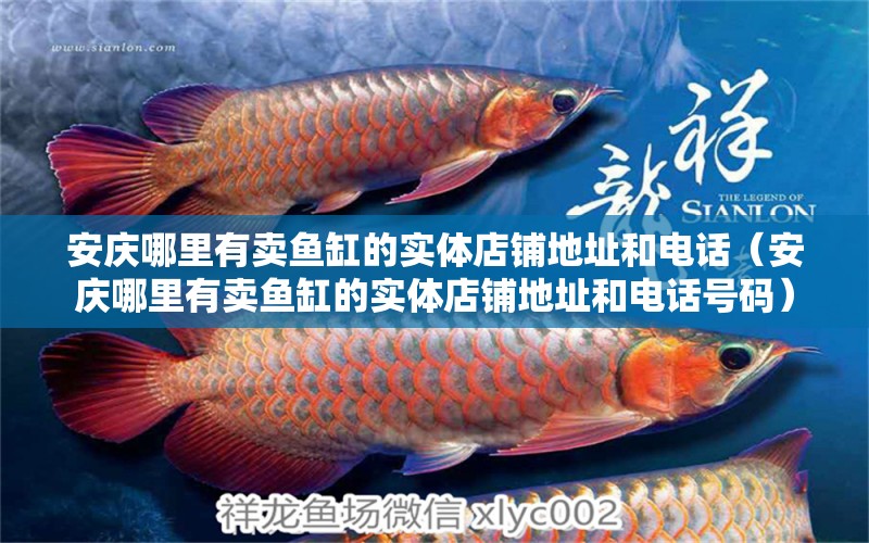 安慶哪里有賣魚缸的實(shí)體店鋪地址和電話（安慶哪里有賣魚缸的實(shí)體店鋪地址和電話號(hào)碼）