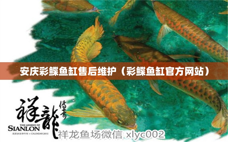 安慶彩鰈魚(yú)缸售后維護(hù)（彩鰈魚(yú)缸官方網(wǎng)站）