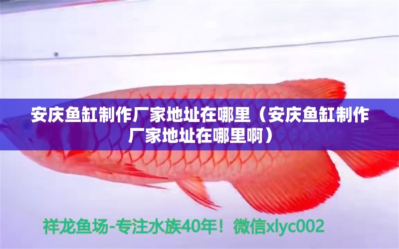 安慶魚缸制作廠家地址在哪里（安慶魚缸制作廠家地址在哪里?。? title=