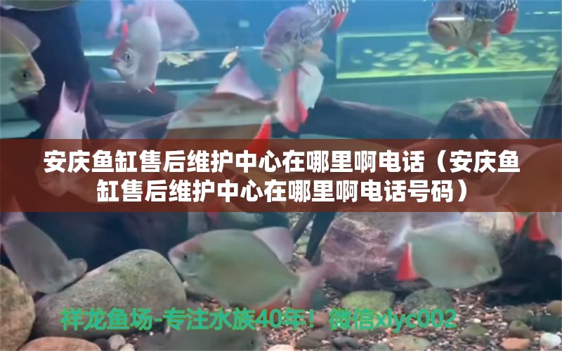 安慶魚缸售后維護(hù)中心在哪里啊電話（安慶魚缸售后維護(hù)中心在哪里啊電話號(hào)碼）