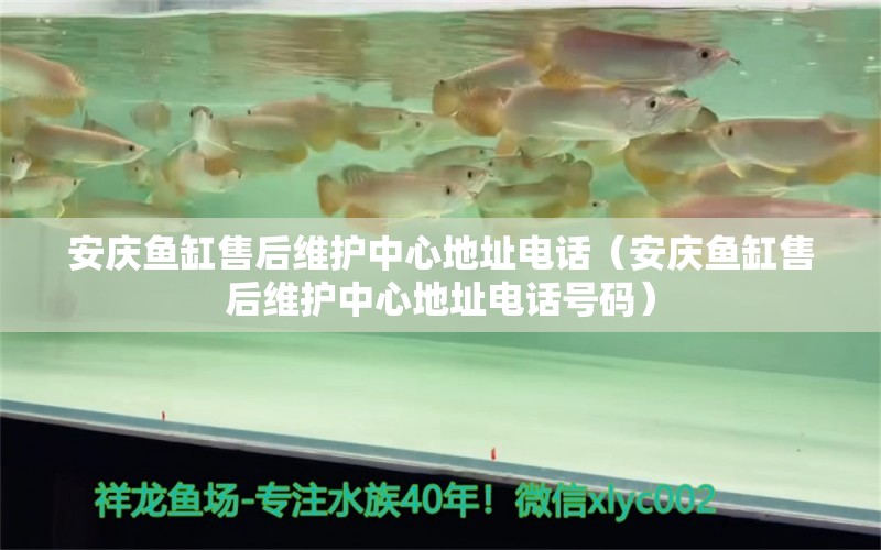 安慶魚缸售后維護(hù)中心地址電話（安慶魚缸售后維護(hù)中心地址電話號(hào)碼） 其他品牌魚缸