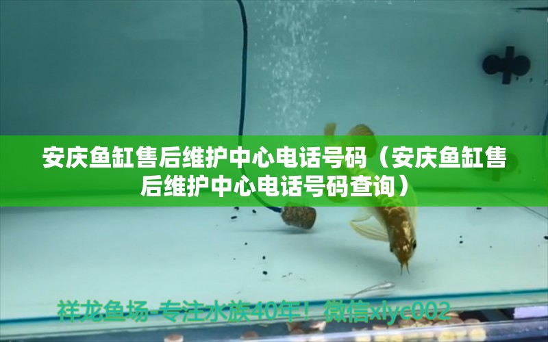 安慶魚缸售后維護(hù)中心電話號(hào)碼（安慶魚缸售后維護(hù)中心電話號(hào)碼查詢）