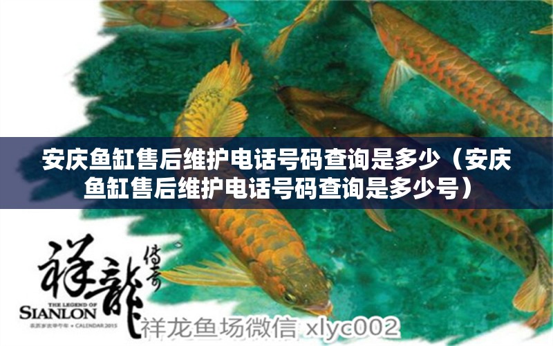 安慶魚缸售后維護(hù)電話號(hào)碼查詢是多少（安慶魚缸售后維護(hù)電話號(hào)碼查詢是多少號(hào)）