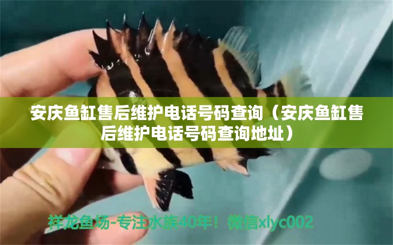 安慶魚缸售后維護電話號碼查詢（安慶魚缸售后維護電話號碼查詢地址） 其他品牌魚缸