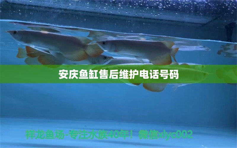 安慶魚缸售后維護(hù)電話號碼 其他品牌魚缸