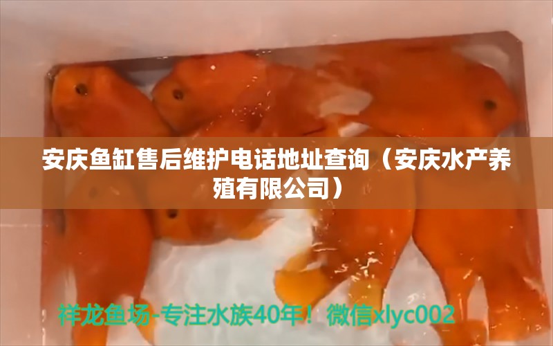 安慶魚缸售后維護(hù)電話地址查詢（安慶水產(chǎn)養(yǎng)殖有限公司）