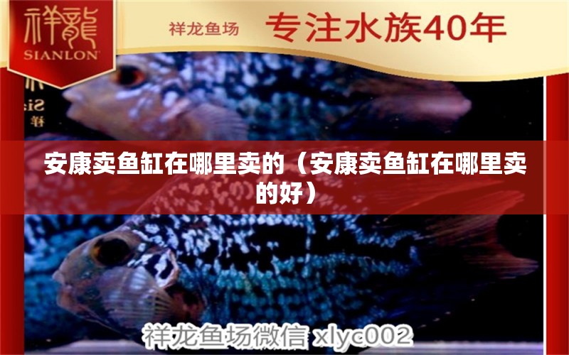 安康賣魚缸在哪里賣的（安康賣魚缸在哪里賣的好） 其他品牌魚缸