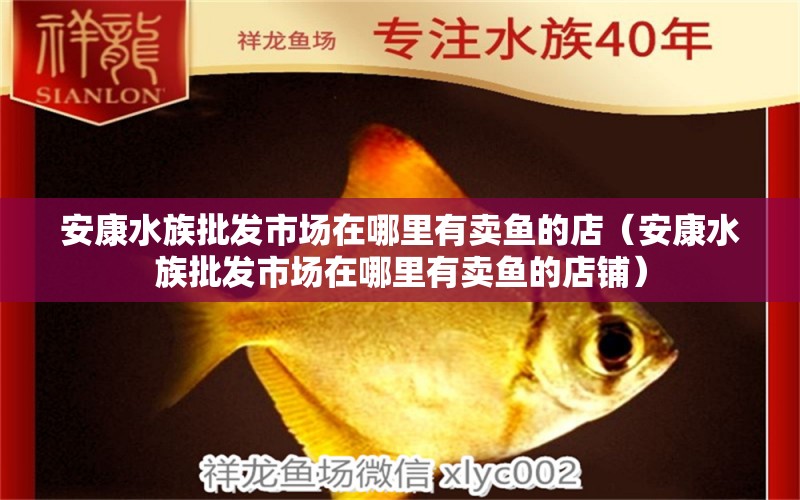 安康水族批發(fā)市場(chǎng)在哪里有賣(mài)魚(yú)的店（安康水族批發(fā)市場(chǎng)在哪里有賣(mài)魚(yú)的店鋪）