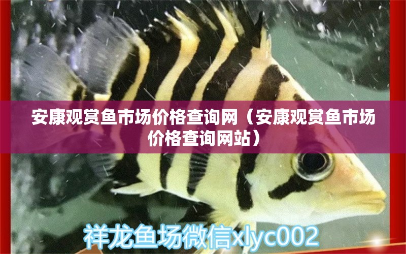 安康觀(guān)賞魚(yú)市場(chǎng)價(jià)格查詢(xún)網(wǎng)（安康觀(guān)賞魚(yú)市場(chǎng)價(jià)格查詢(xún)網(wǎng)站）