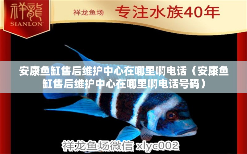 安康魚缸售后維護(hù)中心在哪里啊電話（安康魚缸售后維護(hù)中心在哪里啊電話號(hào)碼）