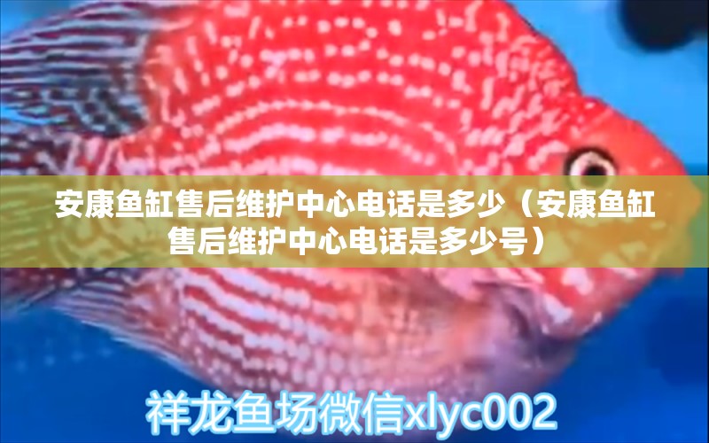 安康魚缸售后維護(hù)中心電話是多少（安康魚缸售后維護(hù)中心電話是多少號(hào)）