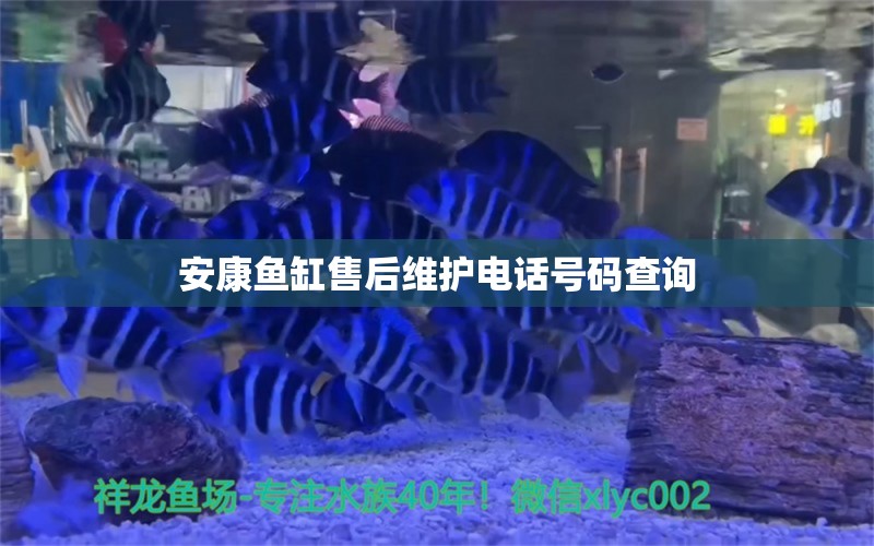 安康魚缸售后維護(hù)電話號(hào)碼查詢