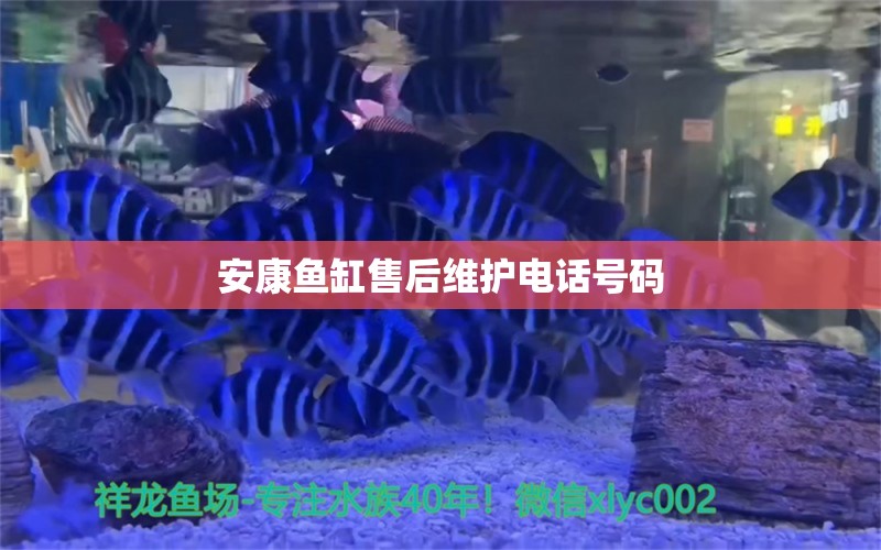 安康魚缸售后維護電話號碼