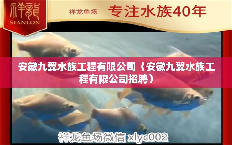 安徽九翼水族工程有限公司（安徽九翼水族工程有限公司招聘）